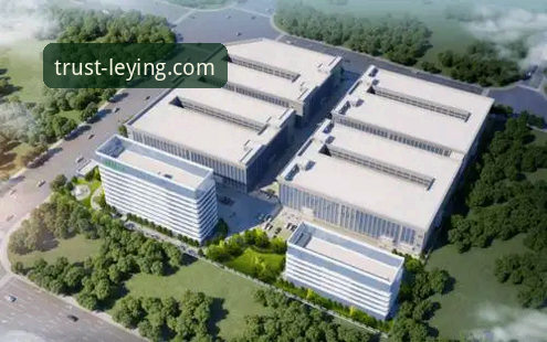 乐盈手机版 乐盈手机版体验全面解析:从注册到竞技,一个平台的创新突破